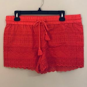 LOFT Lace Shorts